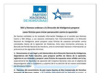 El Partido Nacional denuncia que el Gobierno instrumentaliza instituciones para iniciar persecución contra la oposición