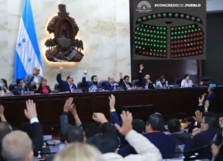 Diputados aprueban en su primer debate el Presupuesto del Consejo Nacional Electoral