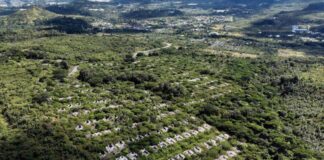 Subdirector de Injupem estima que a inicios del 2024 se decidirá si se habilita Ciudad Mateo