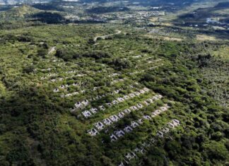 Subdirector de Injupem estima que a inicios del 2024 se decidirá si se habilita Ciudad Mateo