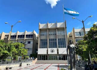 En 2024 aumentó un 13.2 % la presentación de denuncias en el Poder Judicial