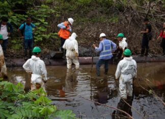 Alertan riesgos para el medioambiente si se extrae petróleo en una reserva peruana
