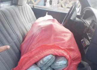 Hombre que atropelló a mujer cerca del CN es detenido con 100 libras de marihuana