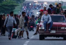 Agentes encuentran a varios hondureños entre 415 migrantes de 19 países encontrados en México