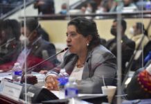 Suyapa Figueroa critica la inoperancia de Luis Redondo y acusa a Libre de ambición política