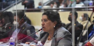 Diputada Suyapa Figueroa: «Comisión de investigación solo es patarata para entretener a la población»