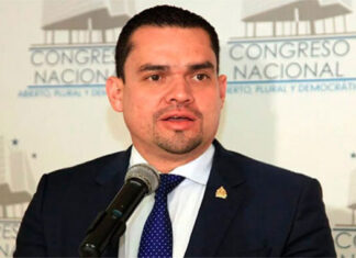 Jefe de la bancada nacionalista advierte que disolver el Congreso Nacional es parte de la agenda de Libre