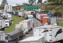 Transporte de carga pesada denuncia el cobro de multas excesivas y el retraso en la emisión de licencias y permisos de operación