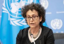 “El Mecanismo Protección debe responder a la violencia, campañas de desprestigio y criminalización de defensores de DDHH y periodistas”, dice Experta de la ONU