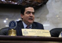 Diputado del PN, Mario Pérez integrará el equipo de defensa del expresidente Pepe Lobo