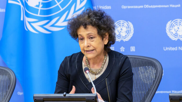 Special Rapporteur for Freedom of Expression and Opinion Briefs Press