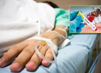 Fallecen dos menores de edad por dengue en el Hospital Escuela