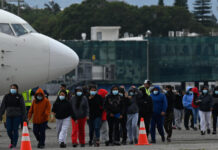 Martes se reanudan vuelos con centenares de hondureños deportados desde México