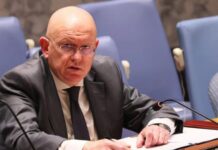 Rusia pide en la ONU un alto al fuego en la Franja de Gaza