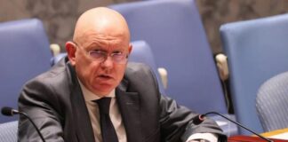 Rusia pide en la ONU un alto al fuego en la Franja de Gaza