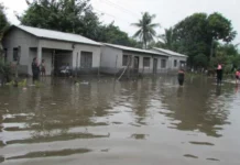 ¡Desbordado! Río Blanco y deja incomunicadas a cuatro comunidades de Potrerillos