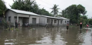 ¡Desbordado! Río Blanco y deja incomunicadas a cuatro comunidades de Potrerillos