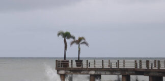 La tormenta Lidia surge en el Pacífico de México con lluvias en los estados del occidente