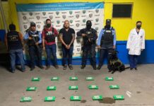 Detienen a hondureño con 15 kilos de cocaína en frontera con Guatemala