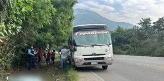 Ultiman a disparos a ayudante de autobús en El Palmar, Cortés