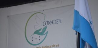 La independencia de poderes es indispensable para reducir la polarización social, según el Conadeh