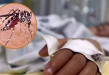 Honduras es el tercer país de Centroamérica con más casos de dengue, con 10.572 casos