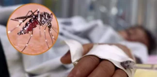 Honduras es el tercer país de Centroamérica con más casos de dengue, con 10.572 casos