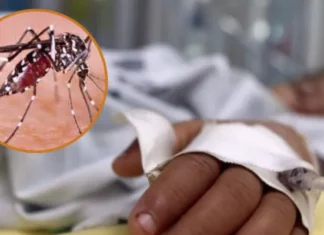 Honduras es el tercer país de Centroamérica con más casos de dengue, con 10.572 casos