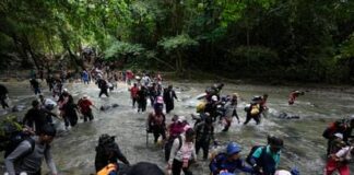MSF atendió casi 400 casos de violencia sexual a migrantes en el Darién en 2023