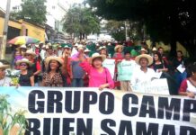 Honduras necesita política agraria para que los campesinos tengan tierras, dice exfiscal
