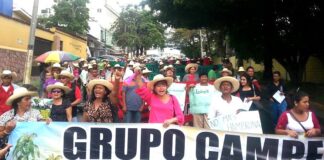 Honduras necesita política agraria para que los campesinos tengan tierras, dice exfiscal