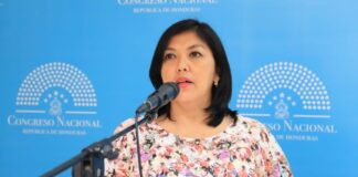La Comisión Permanente también podría nombrar el pleno del TSC, según diputada Silvia Ayala