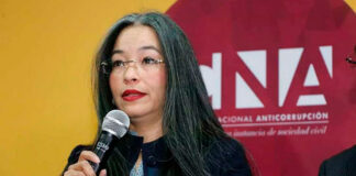 Gabriela Castellanos presenta garantía de inconstitucionalidad contra elección de fiscales interinos