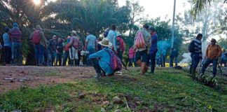 Según informe, Honduras debe resolver litigio de tierras y desmilitarizar para dirimir conflicto agrario en el Bajo Aguán