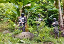 Encuentran 25 mil arbustos de coca, armas y precursores químicos en Olanchito