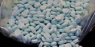 Tres hondureños atrapados en Portland con dosis letales de fentanilo