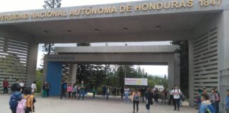 Baja matrícula de estudiantes en todos los niveles se debe a la falta de ingresos económicos, según estudio de la UNAH