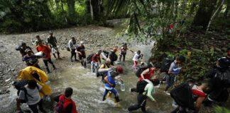 Más de 500,000 migrantes han cruzado la selva del Darién en 2023, un récord histórico