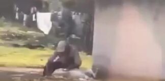 ¡Repugnante! Captan a hombre descuartizando a un perro en Juticalpa, Olancho