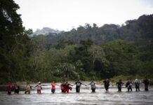 El papa pide una «respuesta humanitaria» para los inmigrantes de la selva del Darién