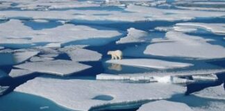 El Ártico tuvo en 2023 el verano más cálido registrado hasta ahora, señala estudio