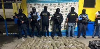 Detienen a mexicano en posesión de más de 200 libras de marihuana «Crispy» en Corinto