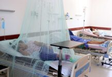 La OMS eleva a alto el riesgo de expansión global del dengue, con 5.000 muertes en 2023