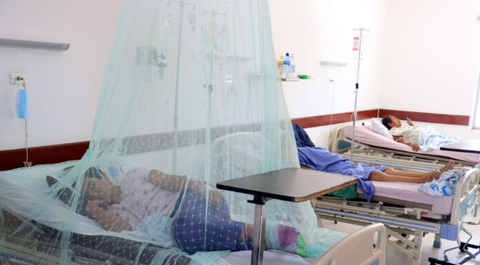 La OMS eleva a alto el riesgo de expansión global del dengue, con 5.000 muertes en 2023