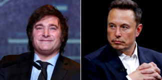 El magnate Elon Musk conversa con Javier Milei tras mensajes cruzados en redes sociales