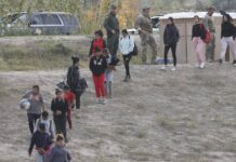 EE. UU. detuvo a 242.000 migrantes en la frontera sur en noviembre, dato similar a octubre