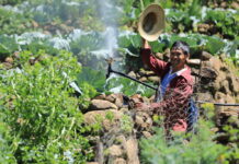 Conciencia y prácticas ancestrales, claves ante crisis alimentaria en el Triángulo Norte
