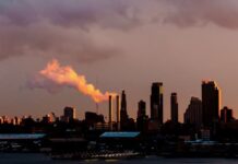 Naciones Unidas lanza un proyecto para luchar contra la crisis climática mediante la IA