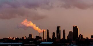 Naciones Unidas lanza un proyecto para luchar contra la crisis climática mediante la IA