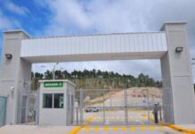 Detienen al director de «La Tolva» con 445 mil lempiras que iban dirigidos a la pandilla 18